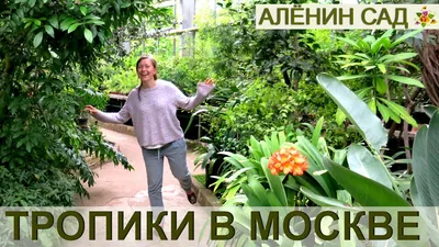 Красивая осень в Ботаническом на фото снимках. Где снимать?