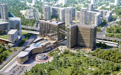 Японский сад в Ботаническом саду, Москва - «Уголок Японии в Москве!» |  отзывы