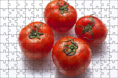 Алмазная мозаика на холсте Овощи 40х50 см, квадратные стразы, полная  выкладка - купить с доставкой по выгодным ценам в интернет-магазине OZON  (927222206)