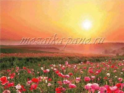 Лепнина и мозаика для дома своими руками: Мастер-Классы в журнале Ярмарки  Мастеров