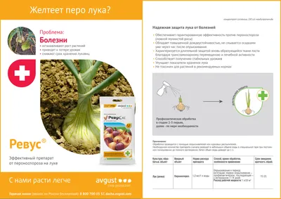 Если этого не сделать, то про урожай лука можно забыть
