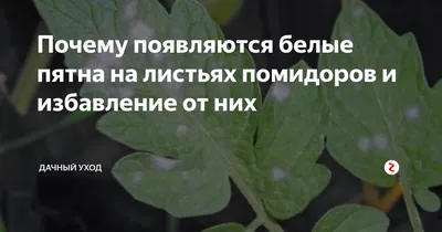 https://63.ru/text/summer/2021/08/03/70057742/