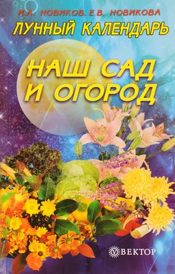 МДОУ № 22. «Огород наш, огород, всё на нем всегда растёт»