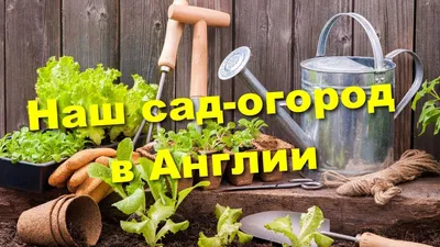 Архив новостей — Дошкольное учреждение Детский сад №411 г. Минска