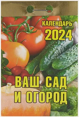 Наш огород! | МАДОУ Детский сад №284 городского округа город Уфа Республика  Башкортостан