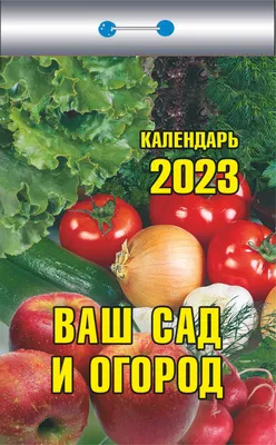 Наш любимый огород! - Новости - ГУО Лужеснянский детский сад