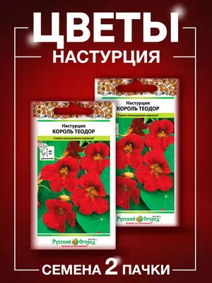 Настурция: описание и значение цветка | блог интернет - магазина АртФлора