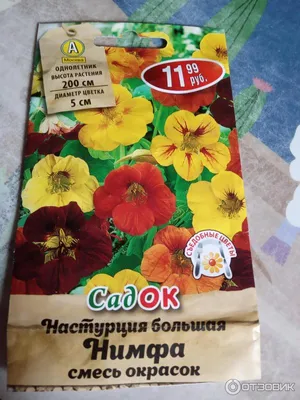 Настурция Пич Мелба, семена – купить в питомнике Дирижер Сада