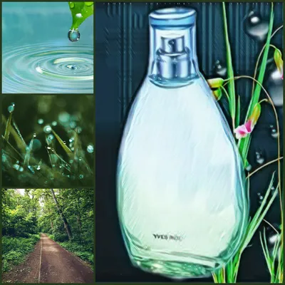 Yves Rocher Naturelle - Туалетная вода: купить по лучшей цене в Украине |  Makeup.ua