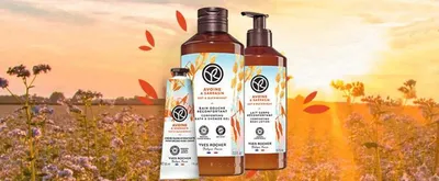 Мужская туалетная вода гваяковое дерево и можжевельник guaiac wood and  juniper yves rocher ив роше, цена 650 грн - купить Парфюмерия новые - Клумба