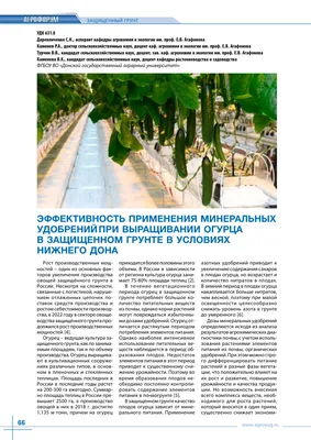 Нехватка элементов питания у огурцов: признаки, как определить и чем  подкормить