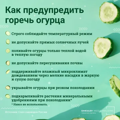 Неинфекционные заболевания томатов. Симптомы недостатка витаминов и  минералов