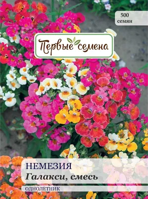 ✓ Семена Немезия Натюрель, смесь, 0,01г, Гавриш, Цветочная коллекция по  цене 30 руб. ◈ Большой выбор ◈ Купить по всей России ✓ Интернет-магазин  Гавриш ☎ 8-495-902-77-18