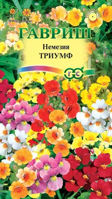 Семена Немезия Зубовидная Голубое Сокровище 0,1г, Seedera (ID#1745777654),  цена: 9 ₴, купить на Prom.ua