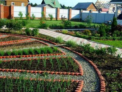 7 фотоидей, как органично вписать грядки в дизайн садового участка | Дизайн  участка (Огород.ru)
