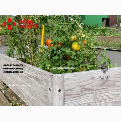 Современный огород: как преобразить свой участок с помощью высоких грядок