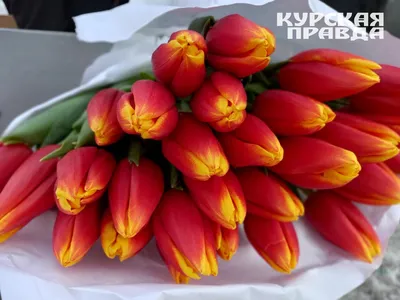 Самые необычные подарки на 8 Марта | Подборки | WB Guru