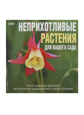 Неприхотливые цветы для клумбы