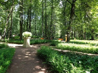 Нескучный сад на карте Москвы, схема,описание,достопримечательности - 2023