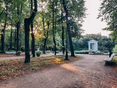 Коттеджный посёлок «Нескучный сад» в Московской области - цены, фото,  генплан, объект на карте | Купить: коттеджи, участки в кп «Нескучный сад» —  ЦИАН