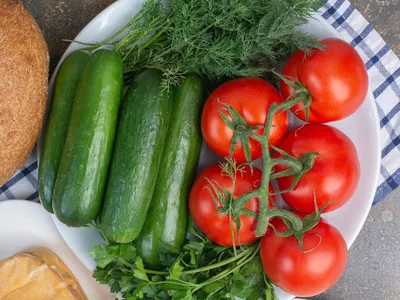 Назван простой способ определить, есть ли нитраты в помидоре – Tverlife.ru
