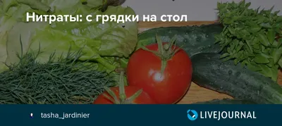 Роскачество оценило качество зимних помидоров - РИА Новости, 17.12.2021