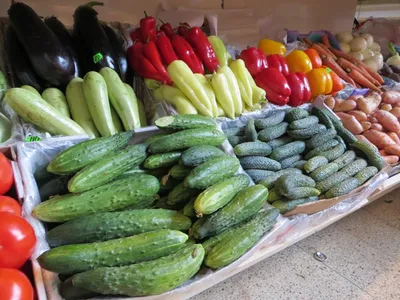 Пестициды и нитраты в овощах — Российская система качества на TenChat.ru