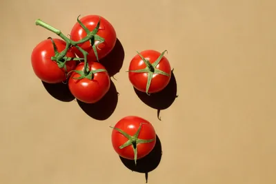 Врач объяснила, как проверить помидоры на нитраты — Ferra.ru