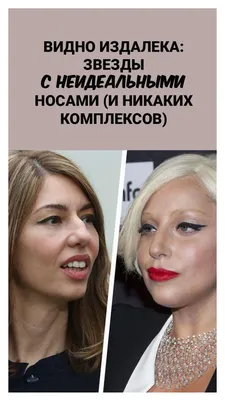 Видно издалека: звезды с неидеальными носами (и никаких комплексов) |  Большие носы, Красота, Гвинет пэлтроу