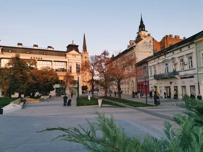 8 reasons to visit Novi Sad - NIS Petrol i Gazprom