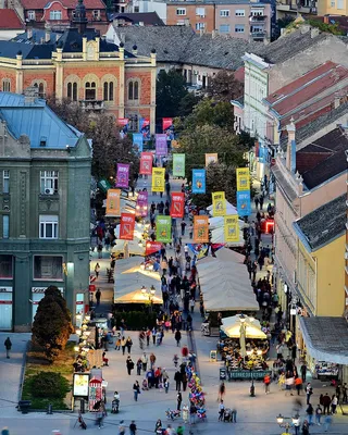 Novi Sad Travel Guide: How to Get There and Top Things to Do • STILL IN  BELGRADE