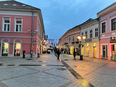 Unforgettable Day Trip from Belgrade to Novi Sad