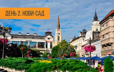 Экскурсия Фрушка Гора – Сремски Карловцы – Нови Сад | Турагентство  «Апельсин»