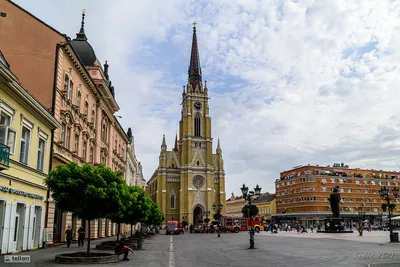 Novi Sad - Департман за хемију, биохемију и заштиту животне средине
