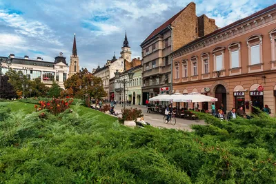 Почему Сербия? 10 причин нашего переезда в Нови Сад. | We in Travel