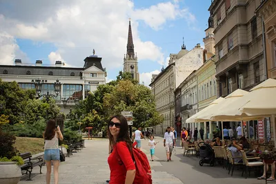 Что посмотреть в Нови-Саде, описание города, интересные места и  достопримечательности