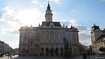 Сербия: 5 удивительных фактов о городе Нови-сад в этой стране | Мои любимые  путешествия | Дзен