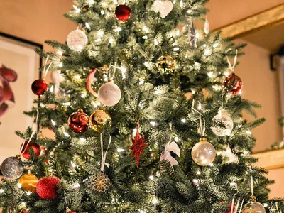 Светящаяся новогодняя елка в колбе Christmas Tree - BERI.UA — Жить легче |  Интернет-магазин