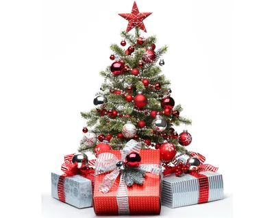 Светящаяся новогодняя елка в колбе Christmas Tree - BERI.UA — Жить легче |  Интернет-магазин