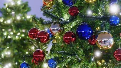 Каталог ВЫСОКИХ НОВОГОДНИХ 🎄✖ 🎄 ЁЛОК | ru | Elka2k