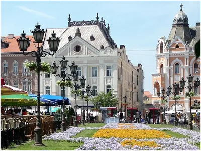 Экскурсии из Белграда в Нови-Сад в 2024 году🧭 — цены экскурсий от €25 на  январь-февраль 2024 года