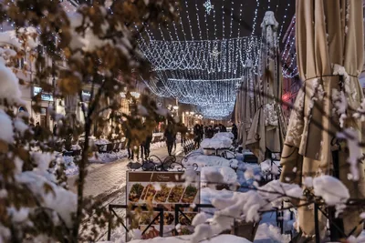 Новый сад сербия фото фотографии