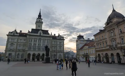 16 лучших достопримечательностей Нови Сада — описание и фото