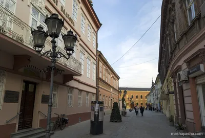 Нови-Сад (Сербия). Запоминающийся отдых от Квинта-тур