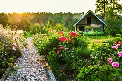 Ландшафтный дизайн своими руками. Ремонт своими руками. Статьи о  недвижимости, строительстве и ремонте. СИБДОМ