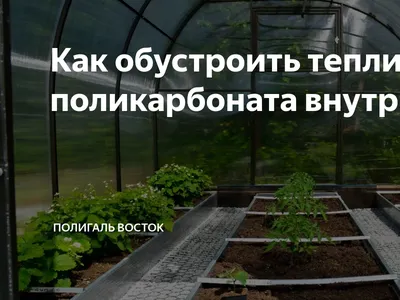 Как облагородить теплицу | Уютный Уголок | Дзен