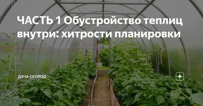 Обработка теплицы из поликарбоната - правила обработки теплиц