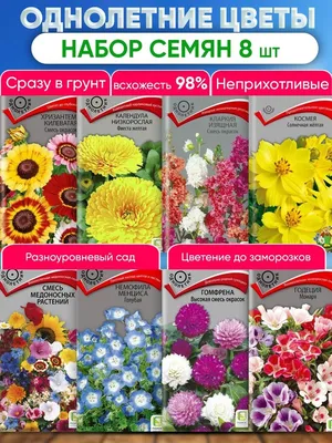 Однолетние цветы.
