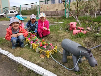 Муниципальное бюджетное дошкольное образовательное учреждение детский сад №  27 «Сказка» | Группа 11