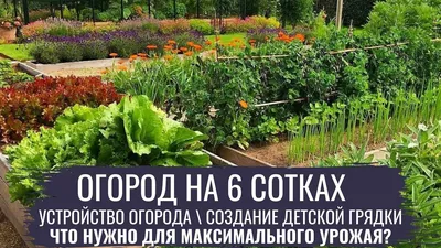 BigData: модный сад-2022 глазами заказчиков | Houzz Россия